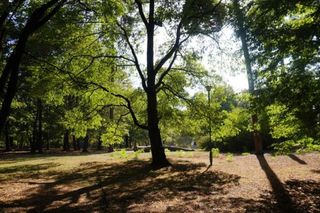 Oto najlepszy park na wrześniowe spacery w woj. podlaskim. AI wybrało go w kilka sekund!