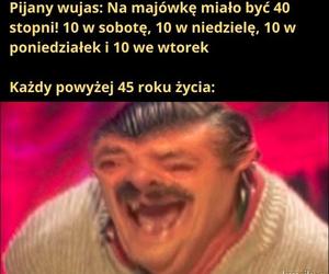 Memy na majówkę 2023. Te obrazki rozbawią Cię do łez!