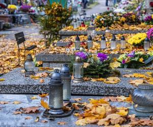 Cmentarze w województwie kujawsko-pomorskim. Zwiększyła się liczba i powierzchnie nekropolii 