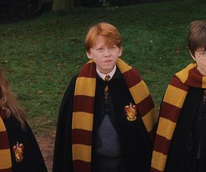 Harry Potter QUIZ: Jesteś prawdziwym Gryfonem? Tylko 30% fanów zdobędzie maksymalną ilość pkt.