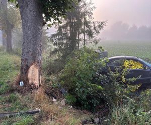 Śmiertelny wypadek pod Malborkiem. Dwóch nastolatków uderzyło w drzewo [ZDJĘCIA].