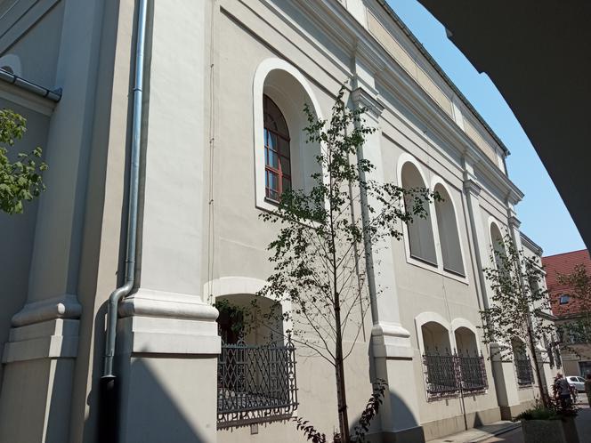 Historia synagogi w Lesznie