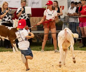 Jesienne Targi Rolnicze w Gryźlinach 2024. Wydarzenie przyciągnęło tłumy. Zobacz zdjęcia