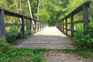 Ścieżki przyrodnicze