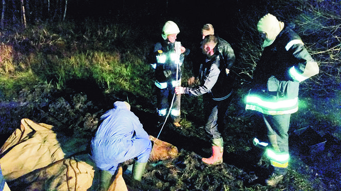 Wyciągnęli Baśkę z bagna