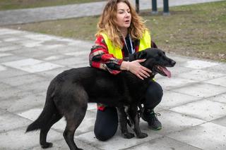 Nowi wolonariusze w łódzkim schronisku