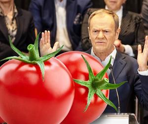 Donald Tusk pokazuje horrendalne ceny pomidorów. Drogo, drożej, PiS