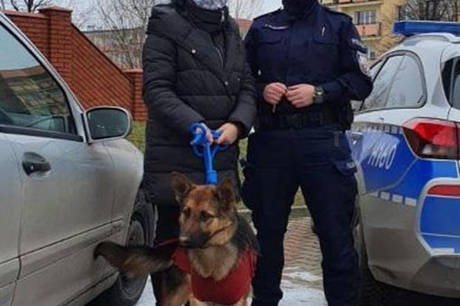 Powiat grójecki: Policjantka przygarnęła psa, którym zaopiekowali się dzielnicowi