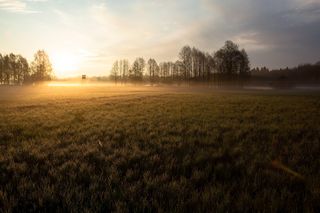 Długi listopadowy weekend. To najlepsze miejsca na jesienny wypad w Podlaskiem