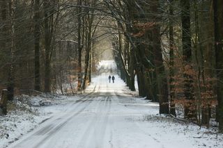 Burze, deszcz i śnieg to nie wszystko. Eksperci nie mają dobrych wieści [Prognoza IMGW na 28.11.2024]