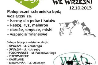 Akcja na rzecz wrzesińskiego schroniska dla zwierząt