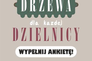 Pokaż, gdzie w Twojej dzielnicy powinno rosnąć drzewo, a jesienią zostanie tam zasadzone 