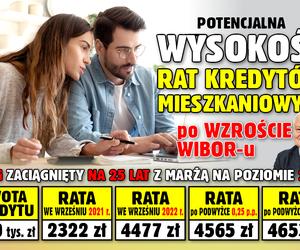 Raty kredytów