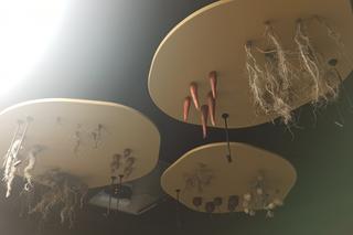 Kortosfera prawie gotowa. Zajrzeliśmy do środka. Zobacz zdjęcia!