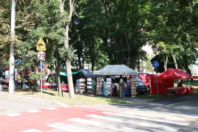 Tysiące kobiet i dziewcząt na pielgrzymce do Piekar Śląskich. "Jestem w Kościele, więc idę"