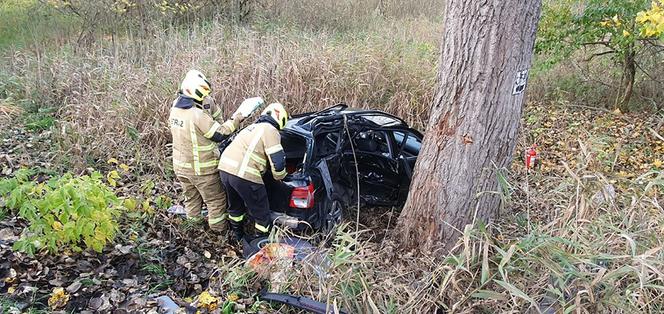 Audi wylądowało na drzewie