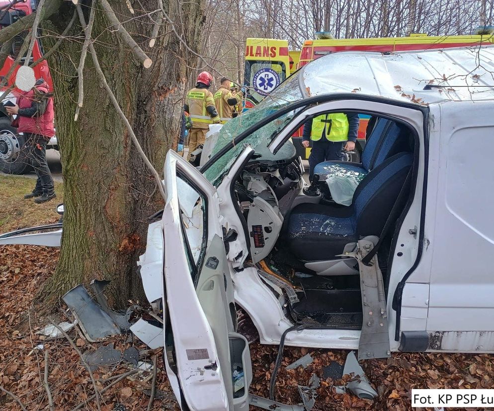 Wola Okrzejska: Auto uderzyło w drzewo, 19-latek zabrany do szpitala