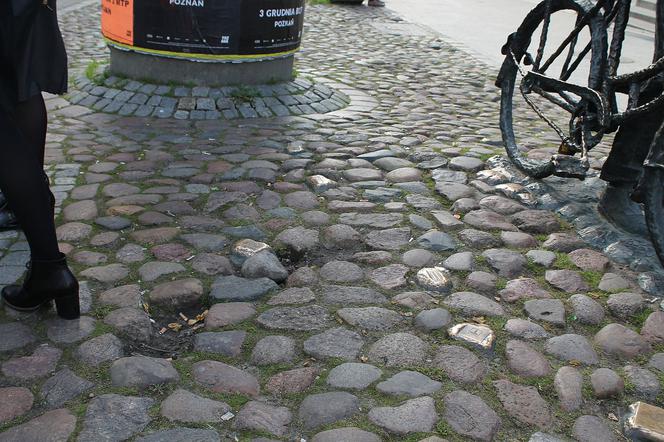 Nieporządek w okolicach pomnika Starego Marycha