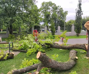 Dziewczynka uderzona przez zerwany konar. Koszmar na placu zabaw w Parku Strzeleckim w Tarnowie