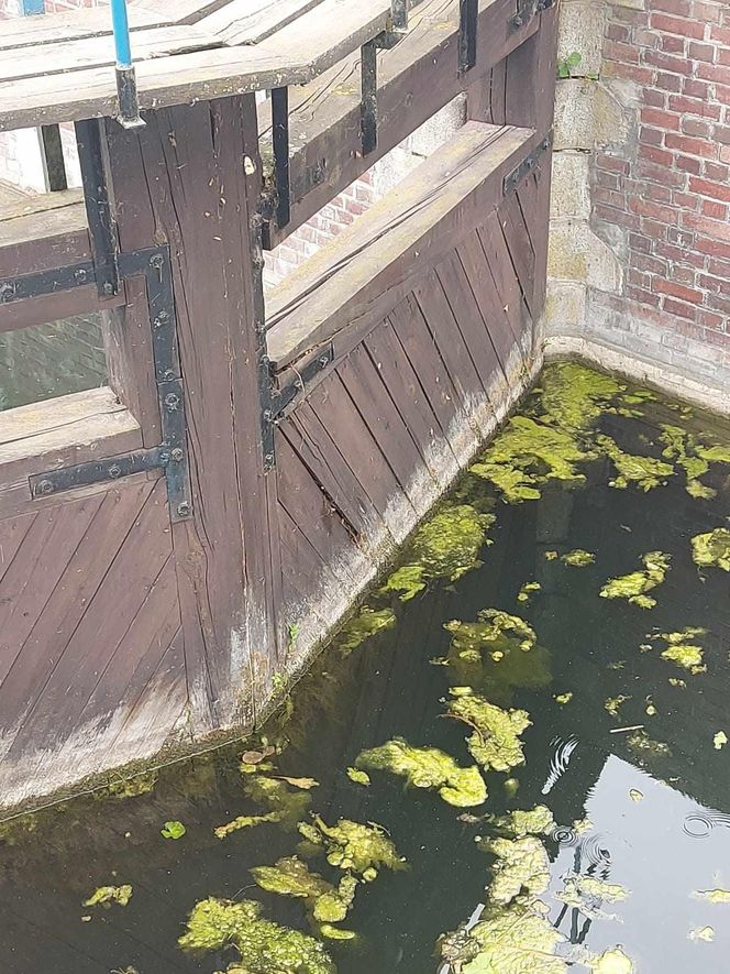 Ta malownicza wieś na Mazurach leży tylko dwie godziny drogi od Olsztyna. Słynie z monumentalnej śluzy
