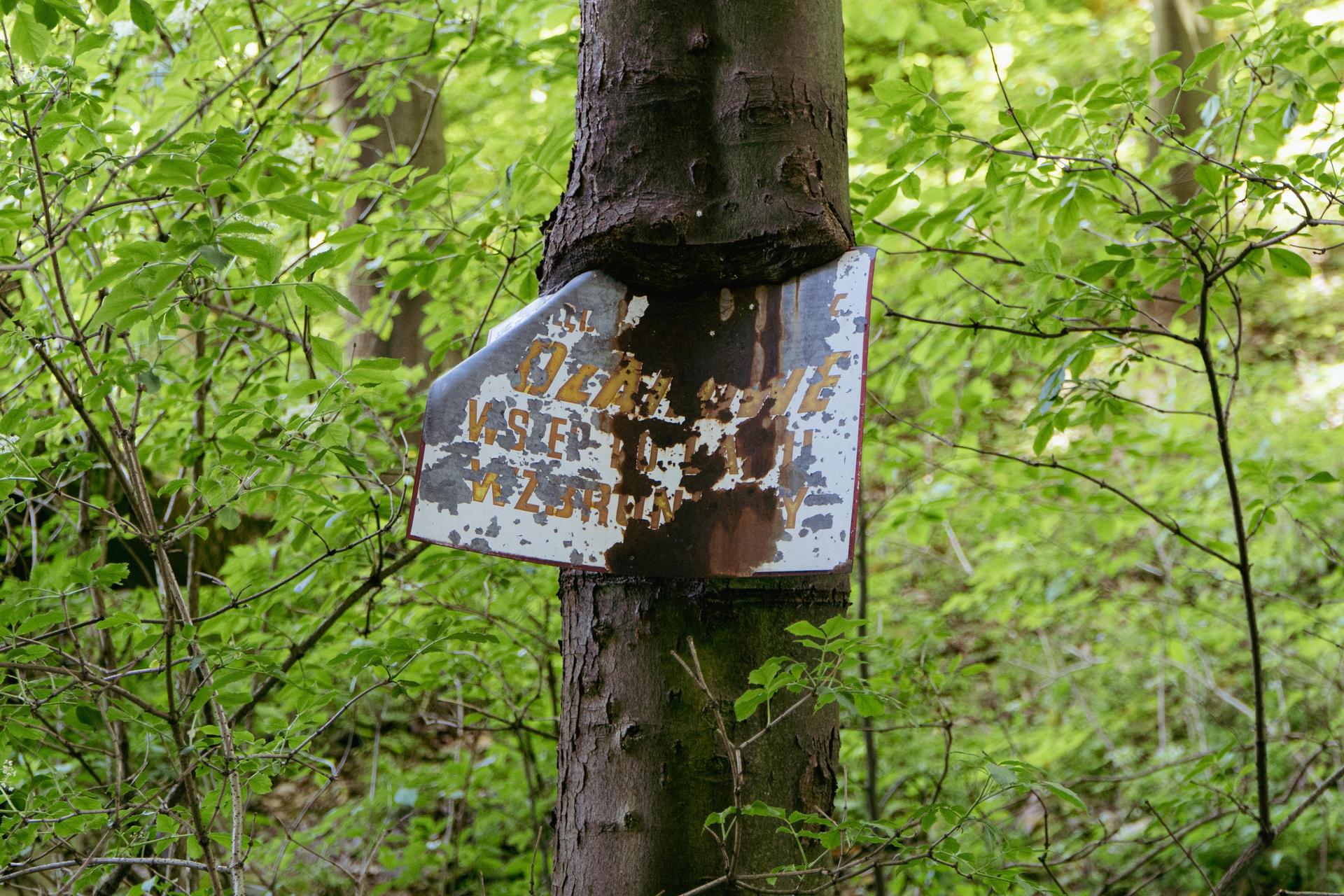 Szpital Stalownik - zobacz opuszczony budynek w Bielsku-Białej