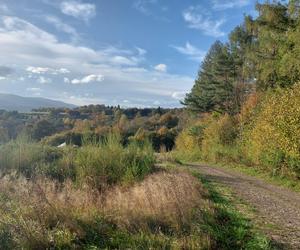 Bieszczady jesienią [GALERIA]