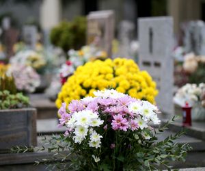 Jak zabezpieczyć grób przed cmentarnymi hienami? Może przydać się ubezpieczenie