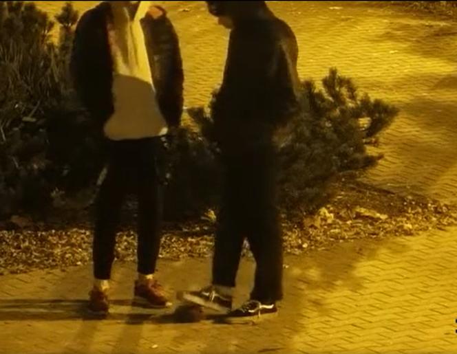 Dwóch nastolatków z Pabianic znęcało się nad jeżem