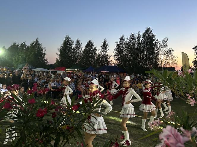 Dożynki powiatu konińskiego w Lubstowie