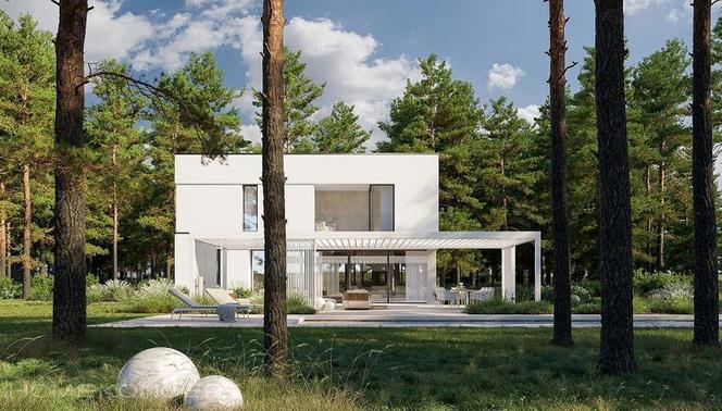 Projekt domu HomeKONCEPT-111