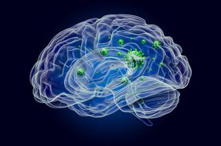 COVID-19 może infekować ośrodek mózgu odpowiadający za oddychanie – donoszą naukowcy
