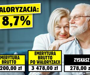 Spadek waloryzacji w 2024 roku! Sprawdź ile wzrośnie twoja emerytura