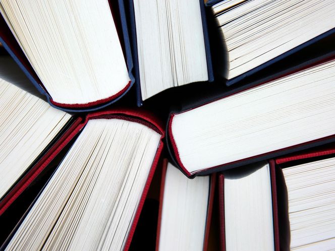 46. Technikum Organizacji i Zarządzania - Szczecin