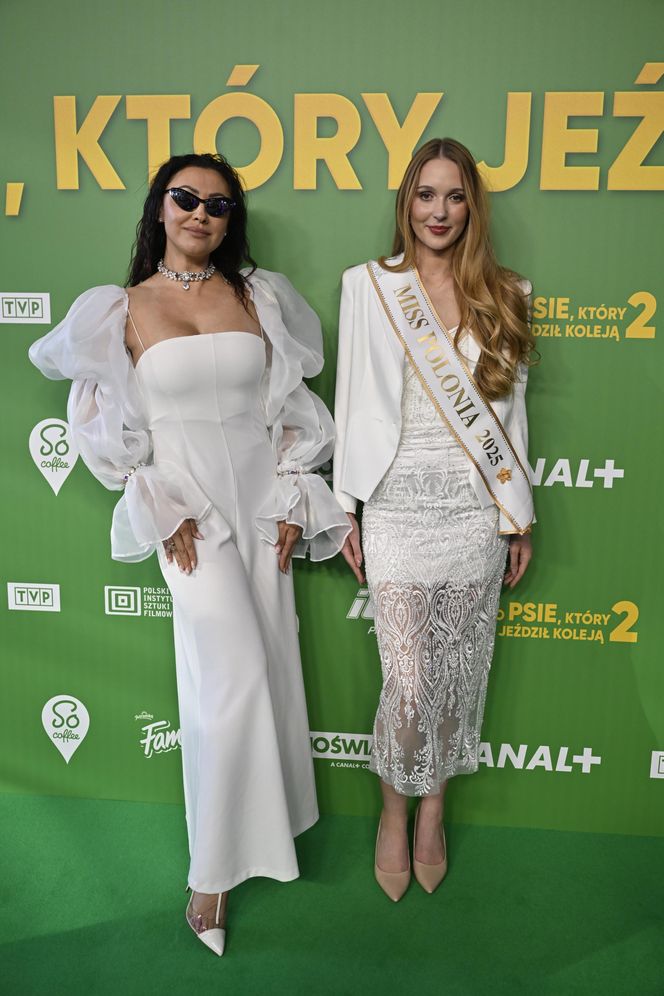 "O psie, który jeździł koleją 2" - premiera filmu