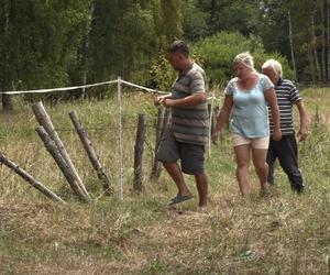 Rolnicy. Podlasie. Andrzej szuka koni, które uciekły z pastwiska