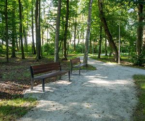 Zabytkowy park pod Lubawą zmienił się nie do poznania. Teraz wygląda jak z bajki