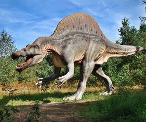 Dinoworld w Białymstoku. W weekend otwarcie parku dla fanów dinozaurów!