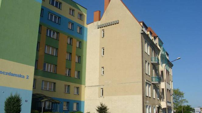 Budki lęgowe dla jerzyków już zamontowane
