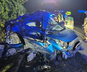  Tragiczny wypadek pod Zgierzem. Samochód wbił się w ogrodzenie, nie żyje 20-latka