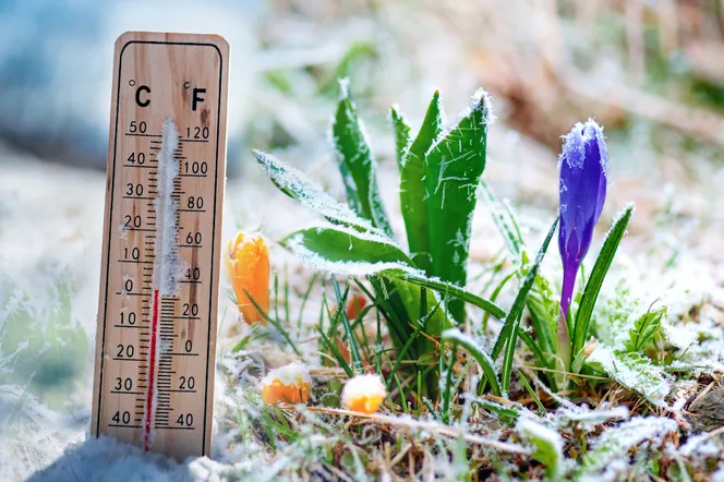 Zaskakujące dane IMGW o temperaturze. Takie wartości w marcu to rzadkość!