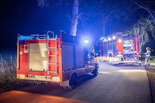 Śmierć na drodze w ostatnie dni wakacji. 19-latek wjechał bmw w łosia. Nie żyje. Trzy nastolatki w szpitalu
