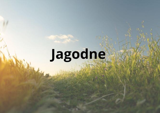 Jagodne