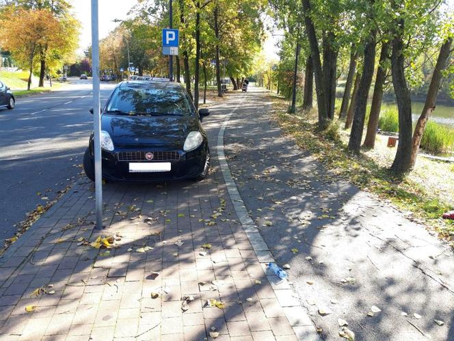 Mistrzowie parkowania w Katowicach ukarani przez Straż Miejską