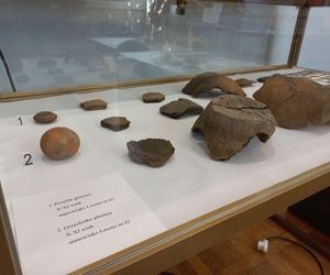 W poszukiwaniu początków Leszna. Nowa wystawa w muzeum w Lesznie [ZDJĘCIA]