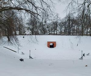 Zamojski Park pod śniegiem