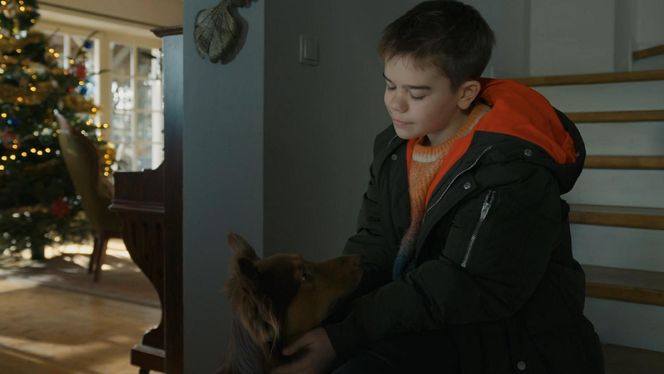 Barwy szczęścia, odcinek 3201. Ksawery (Bartosz Gruchot)