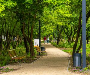 Park linearny przy ul. Suwak w Warszawie