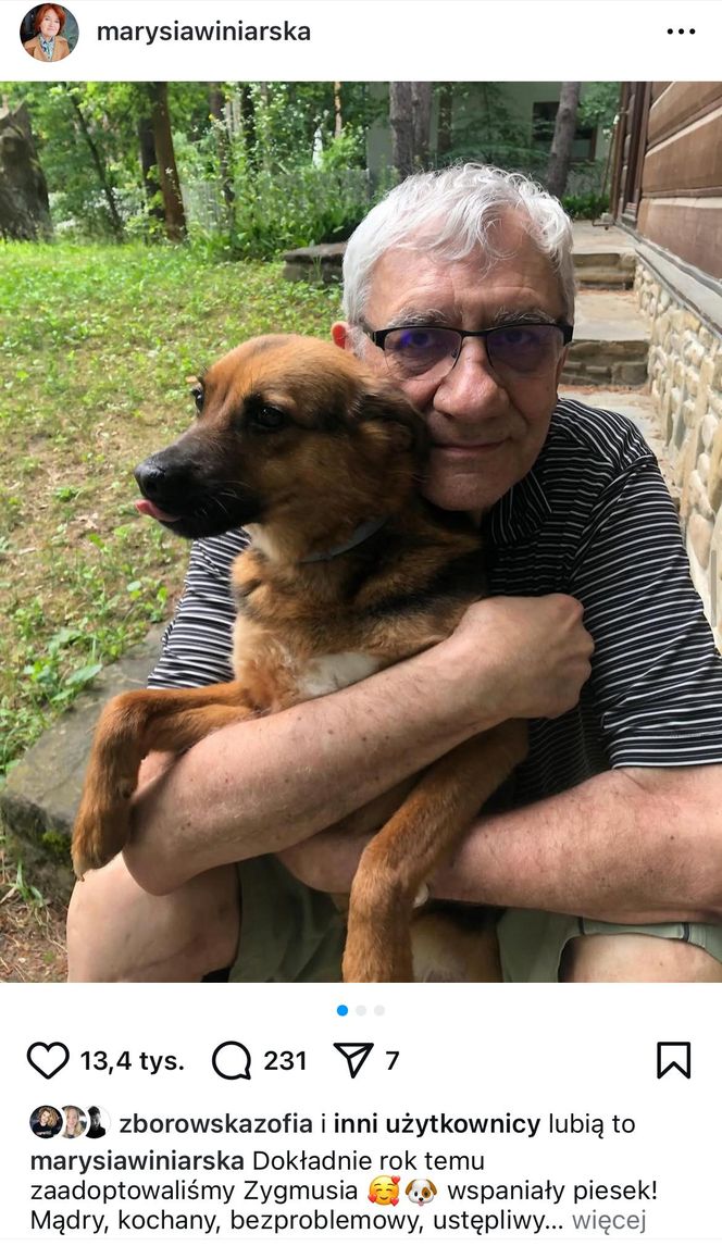 Te psy skradły serca gwiazd! Niektóre wyglądają jak z bajk