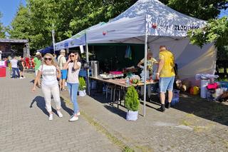 Miss Pojezierza Drawskiego 