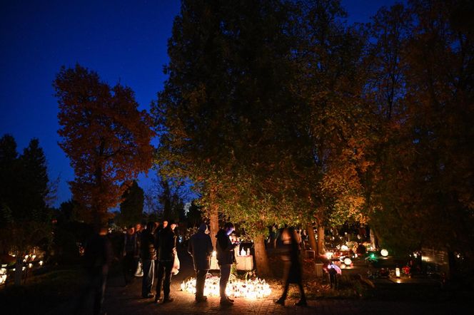  Setki migoczących zniczy. Tak wyglądają polskie cmentarze po zmroku. Zobacz niezwykłe zdjęcia